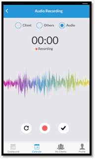 Audio Recording Feature in New Update