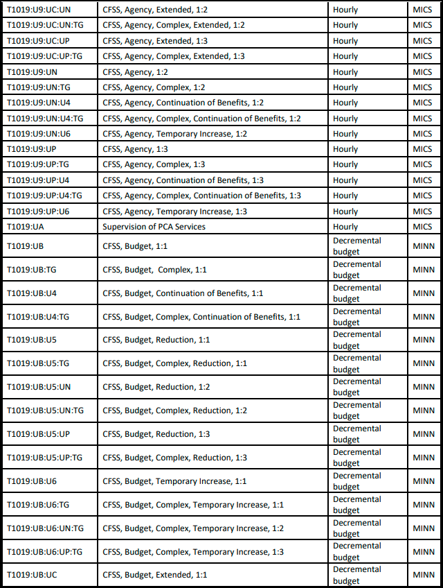 HHAeXchange Updates to Procedure Codes- MN state