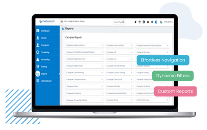 custom reporting software for home care agencies