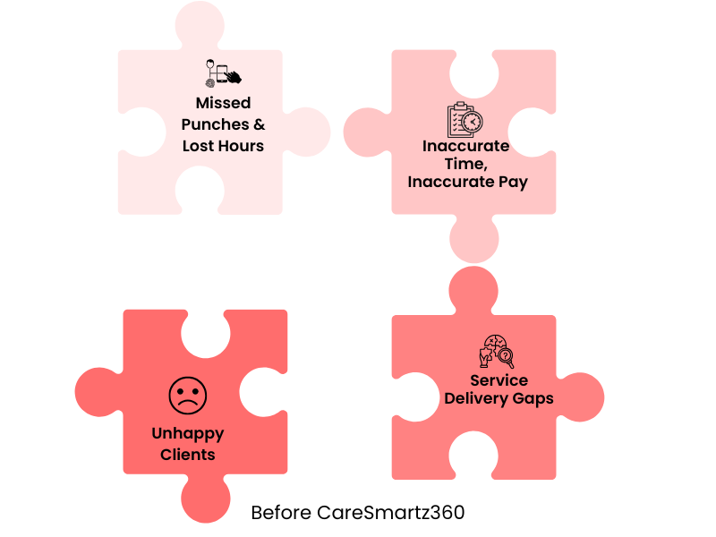 iProvide Home Care Solutions before using CareSmartz360 Home Care Billing Software