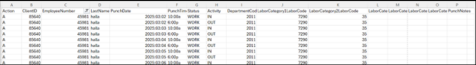Caregiver portal with updated payroll reporting CSV export feature