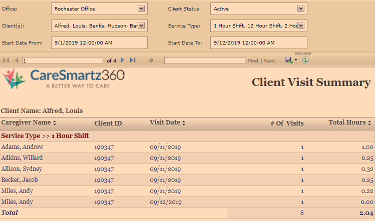 Call Visit Summary Report