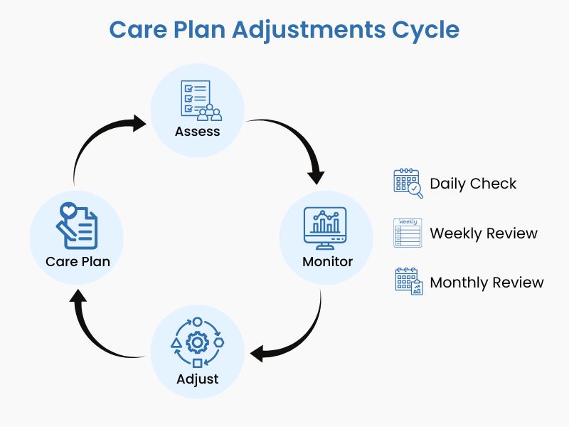 Care plan adjustment cycle for an individual with dementia
